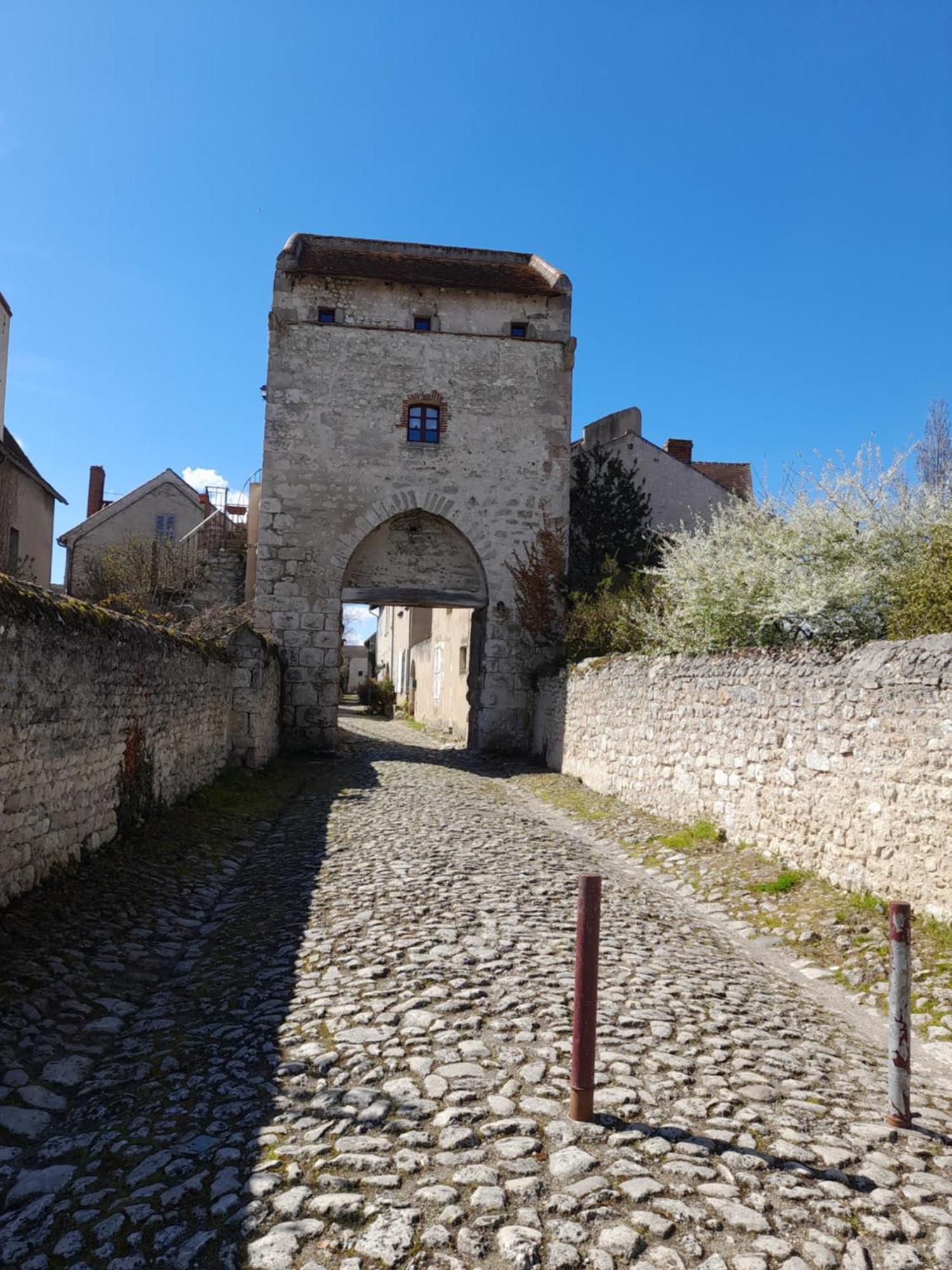 La Maison Du Prince De Conde Charroux-dʼAllier Eksteriør billede